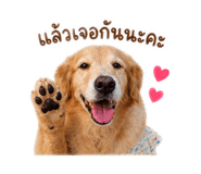 840747174