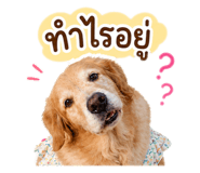 840747176