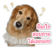 840747188