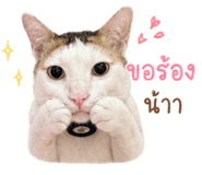 840747969