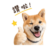 840748922