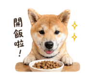 840748925