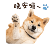 840748936