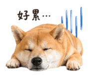 840748943