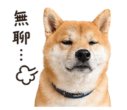 840748944