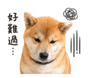840748948