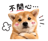 840748950