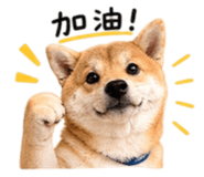 840748957