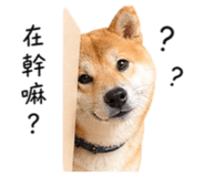 840748959