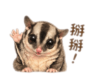 840749343