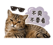 840749877