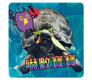 840750382