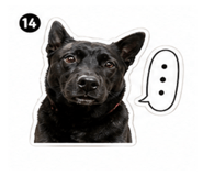840750406