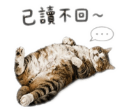 840751666