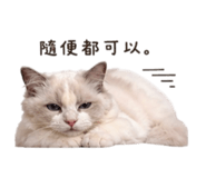 840752556