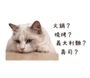 840752557