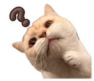 840752852