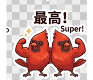 840753515