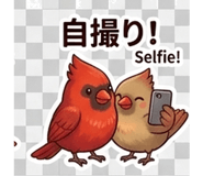 840753523