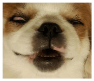 840753655