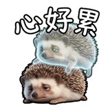 840753900