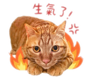 840755023