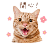 840755027