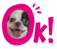 840755394