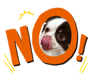 840755396