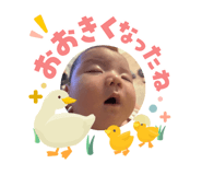 840755629