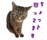 840756319