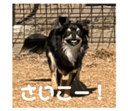 840756590