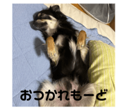 840756597