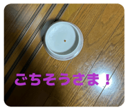 840756617
