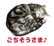 840756618