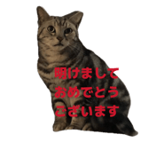 840756622