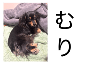 840756800