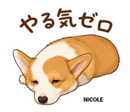 840756811