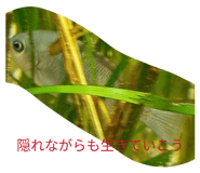 840757374