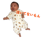 840757981
