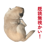 840760113