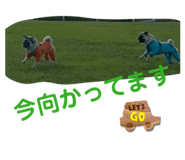 840760120