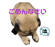 840760126