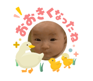 840760446