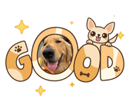 840760803
