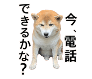 840760893