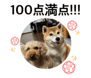 840760898