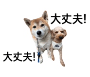 840760900