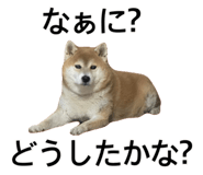 840760903