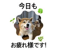 840760904